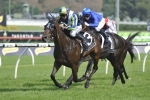 Latest All-In 2016 Cantala Stakes Betting Markets