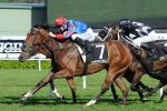 Diamond Drille Wins Queen Of The Turf Stakes 2014 – Full Results