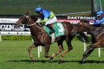 Champagne Stakes 2014 – Moonee Valley Betting Tips