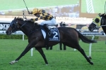 2014 Queen Elizabeth Stakes Won By It’s A Dundeel