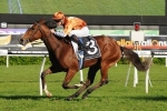 Let’s Elope Stakes for Rising Romance First-Up