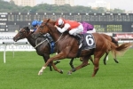 Lightinthenite Set For WFA Test in Hollindale Stakes 2013