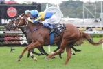 Estonian Princess Gets Another Crack in 2014 Villiers Stakes
