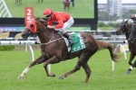 Hot Snitzel Claims Honours in 2014 Hall Mark Stakes