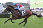 2014 Eclipse Stakes Nominations