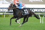 La Amistad Leads Kingston Town Stakes 2014 Odds