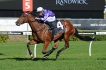 Queenstown Considered for Caulfield Cup 2014
