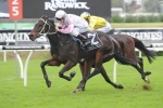2014 Wyong Gold Cup Betting – Destiny’s Kiss v Queenstown