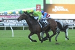Ryan Pleased with Pair Ahead of 2014 Civic Stakes
