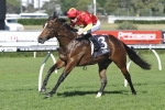 Russian Revolution Favourite in Early Doomben 10,000 Betting
