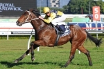 Group 1 Top Priority for 2013 Missile Stakes Winner Rain Affair