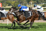 Winx Odds-On in Chelmsford Stakes 2017 Betting
