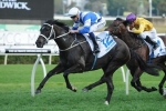 Royal Descent Back to Mile for Myer Classic 2015