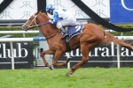 Bring Me The Maid Eases in 2014 Thousand Guineas Betting