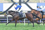 Winx “Picture Perfect” for Win No. 21 on the Trot in Turnbull Stakes