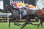 Shiraz Declares Waugh on Eye Liner Stakes Field