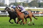 Royal Descent Set to Peak in 2014 Cox Plate