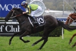 Lucia Valentina Charges Home to Win Tramway Stakes