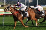Hawkspur Heads George Main Stakes 2013 Odds