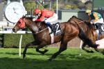 Redzel enhances his Everest chances with brilliant win in The Shorts