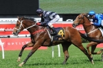 Wet track no worries for Heritage Stakes winner Counterattack