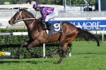 Waller Confident Boban Will Deliver Immediately