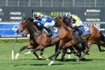 Can It’s A Dundeel Steal Randwick Guineas 2013 Glory?