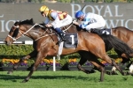 Can Waller Shoot Out and Score in Chipping Norton Stakes 2013?
