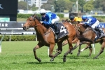 Golden Slipper Chances Highlight Magic Night Stakes Nominations