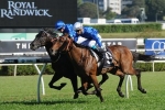 2015 Caulfield Cup Next for Craven Plate Winner Complacent