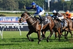 Hutchings Tips Sacred Master for The Metropolitan 2016