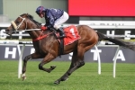 Zoustar Coolmore Bound After Roman Consul Stakes 2013 Win