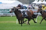 Red Tracer Heads Dane Ripper Stakes 2013 Field