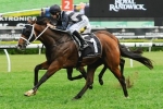 Counterattack Keeps Blinkers in 2015 Coolmore Stud Stakes