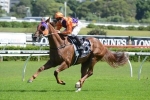 2015 Hall Mark Stakes Betting Tips