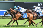 Magic Millions Contender to Have Crack at Doncaster Mile 2018