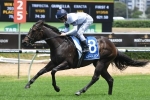 Williams to Ride She Will Reign in Moir Stakes