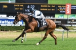 Ryan Excited over 2017 Villiers Stakes Prospect