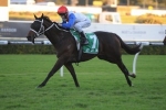Coup Ay Tee Storms Home To Win 2013 Hawkesbury Gold Cup