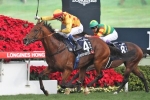 2015 Aquanita Stakes Field, Odds & Betting Tips