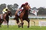 2015 Blue Diamond Stakes Distance Concern for Thurlow