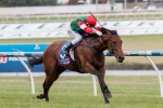 2015 Bletchingly Stakes Tips and Betting Preview