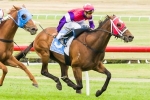 Peter Young Stakes 2013 Tips & Betting Preview