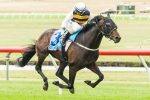 Ibicenco Tops 2013 Tattersall’s Cup Field & Weights