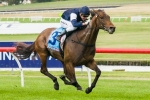 Tanby To Enjoy 2015 Adelaide Cup Light Weight