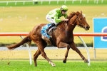 High Aims Straight to Caloundra Cup 2014