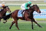 Tristram’s Sun Primed for Competitive Performance