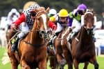 Only Seven 2014 Eagle Farm Cup Nominations