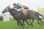 Fast Pace of 2014 Railway Stakes will Benefit Alma’s Fury