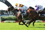 2013 George Main Stakes Form & Betting Guide